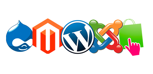 What? Website, Design, Platform